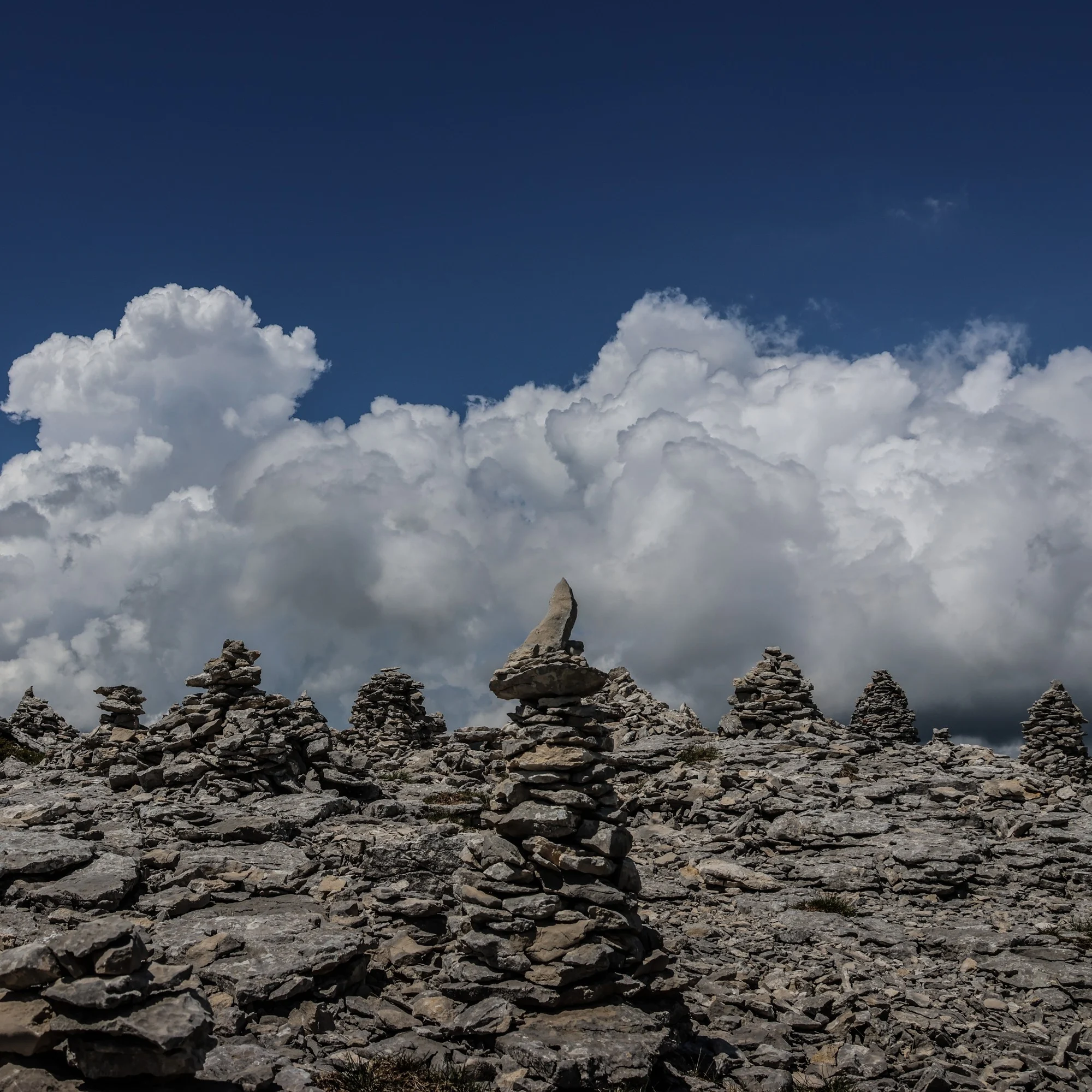 Thierrylth c ou img 1104 1