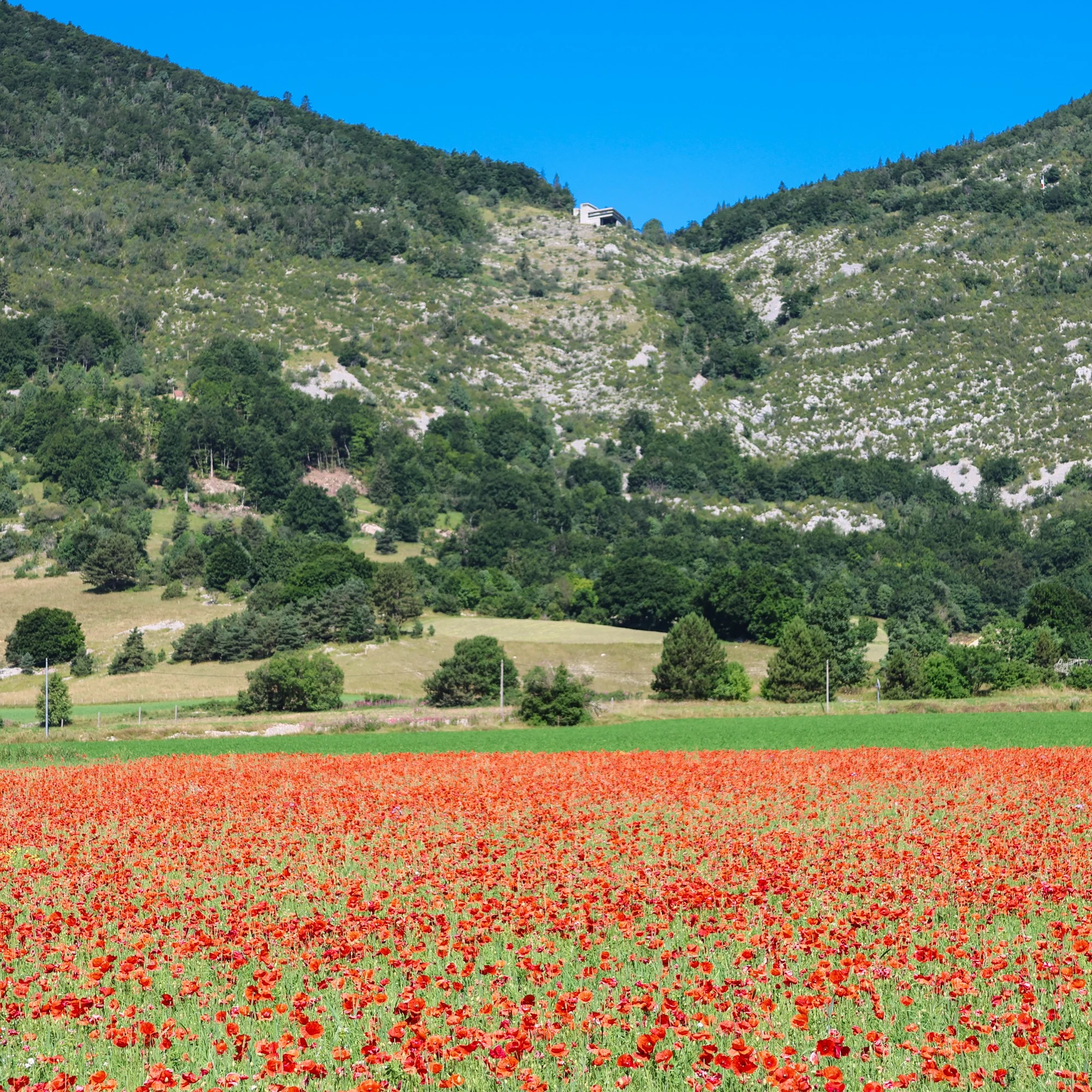 Thierrylth c ou img 1687 1