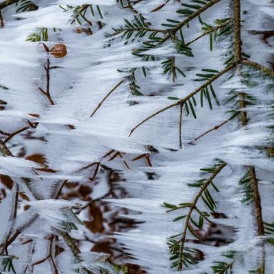 Thierrylth glacegivre 1210792 redimensionner