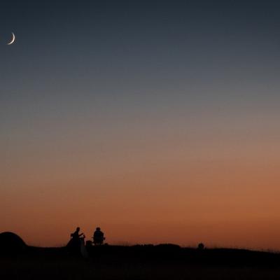 Thierrylth la nuit 1450575 