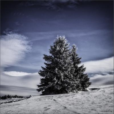 Thierrylth montagne hiver carre