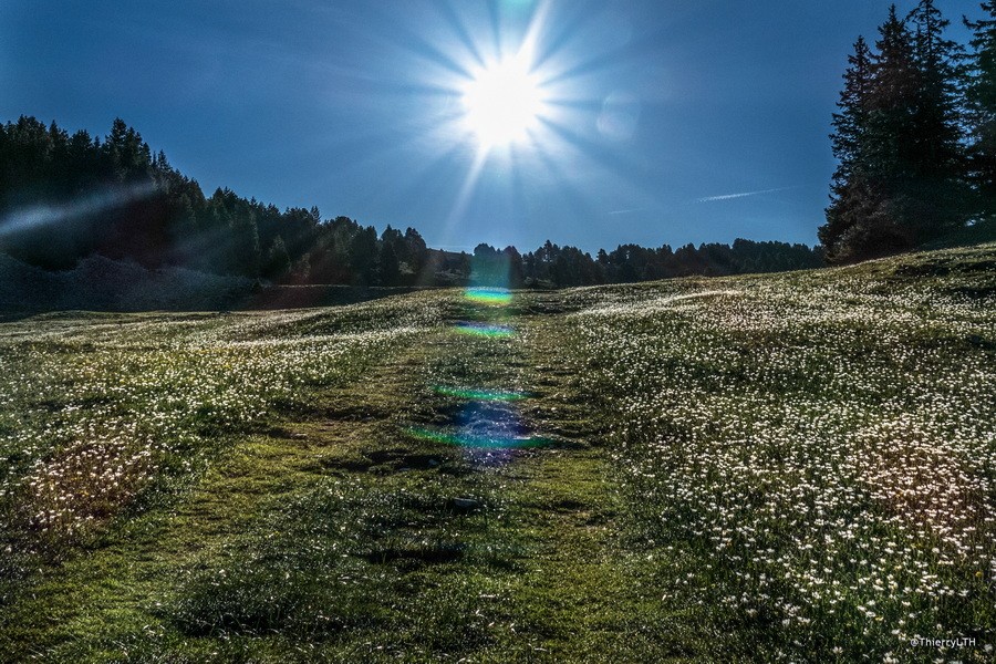 Thierrylth prairies 1380455 
