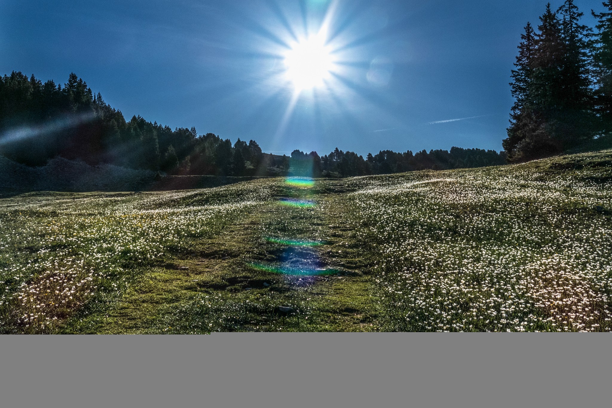 Thierrylth prairies 1380455