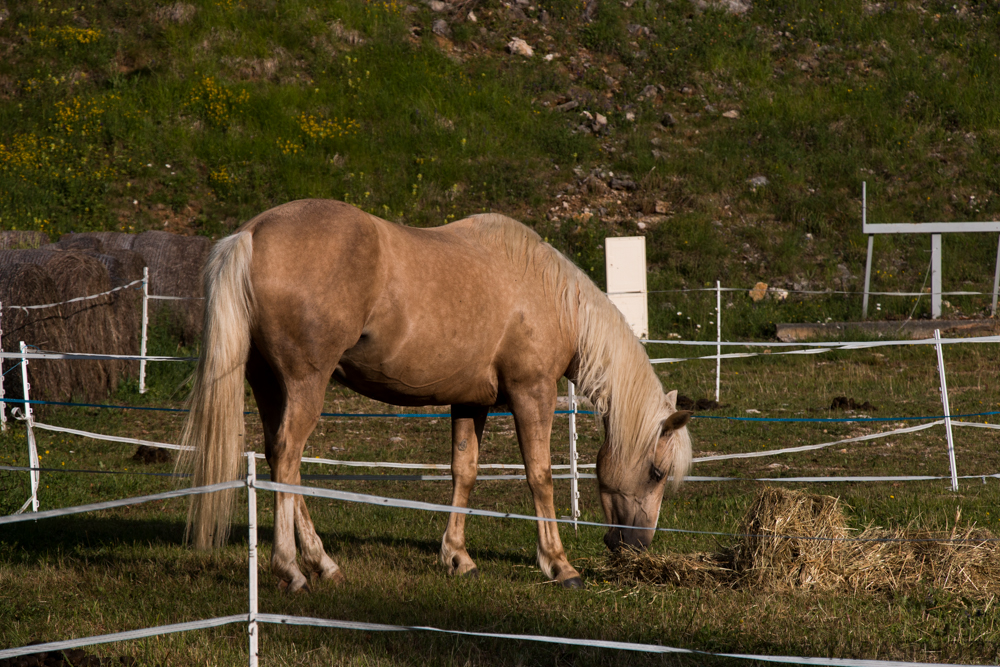 Trec Vassieux 2014-10