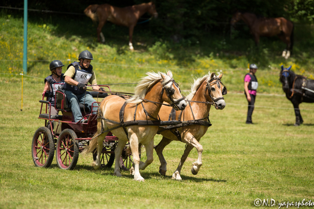 Trec vassieux 2014-15