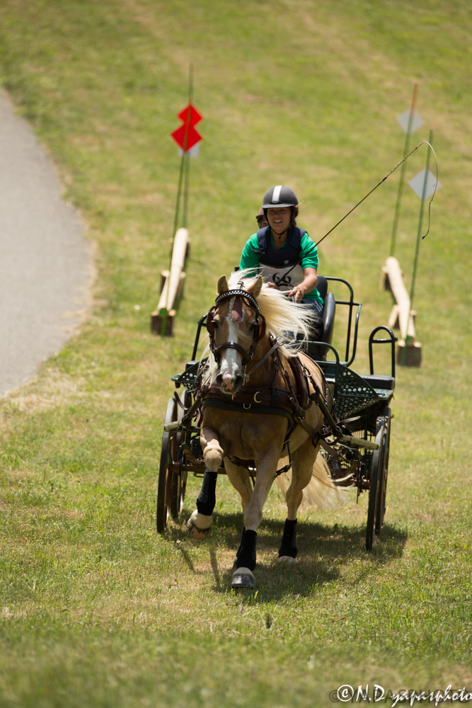 Trec vassieux 2014-28