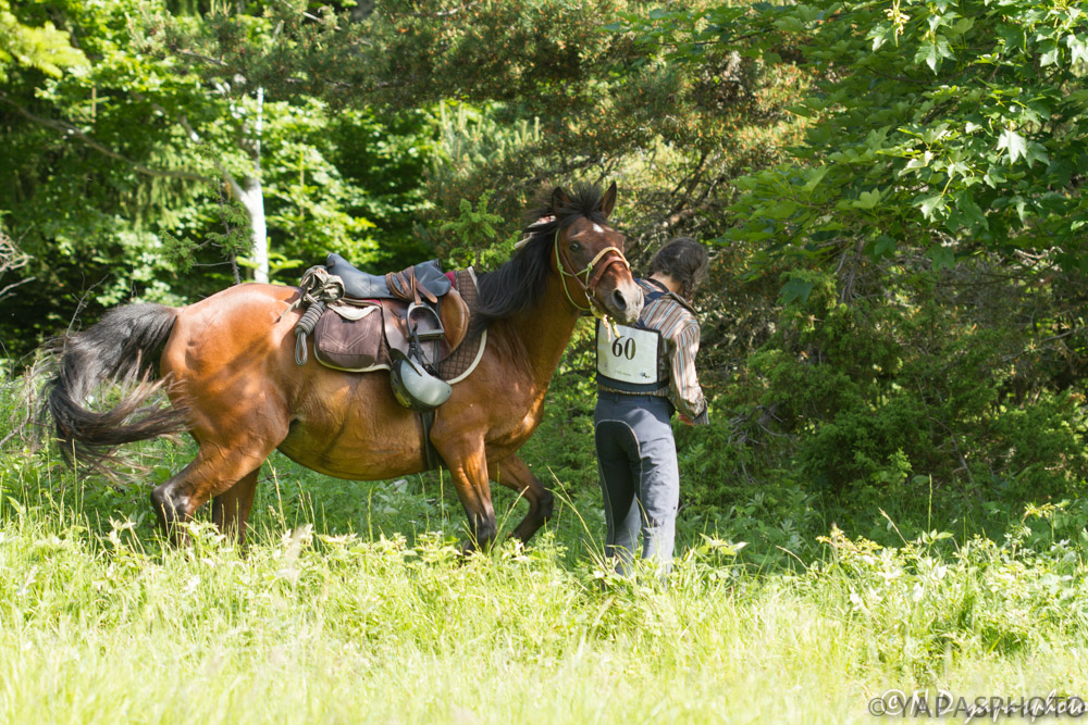 Trec vassieux 2014-5