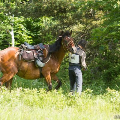 Trec vassieux 2014-5