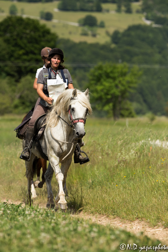 Trec vassieux 2014-9