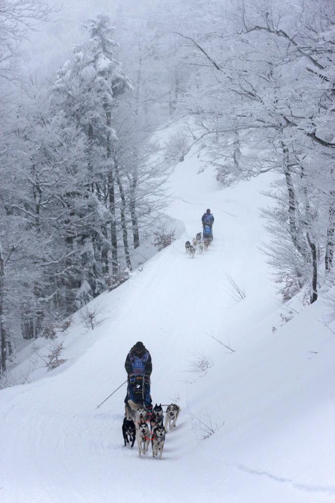 vercors quest