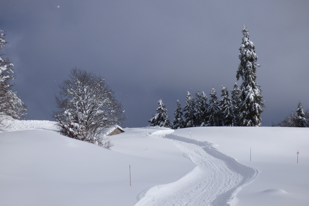 Vercors Quest Dom T-10