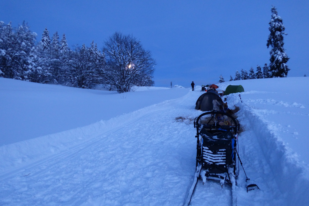 Vercors Quest Dom T-14