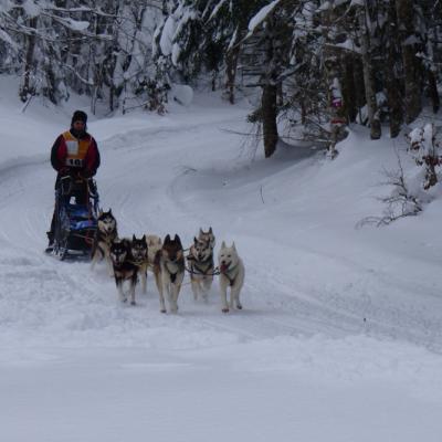 Vercors Quest Dom T-22