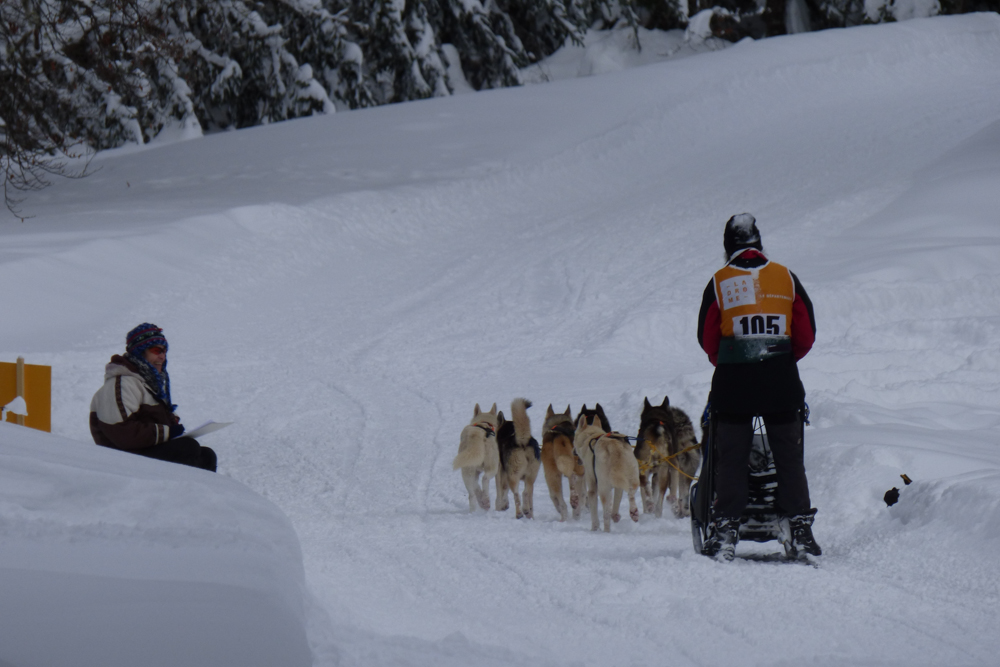 Vercors Quest Dom T-23