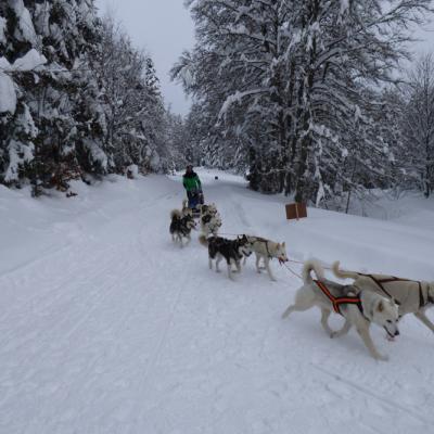 Vercors Quest Dom T-24