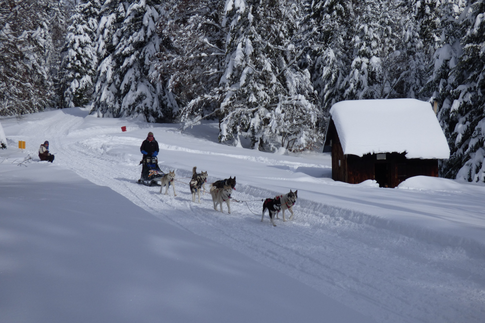 Vercors Quest Dom T-26