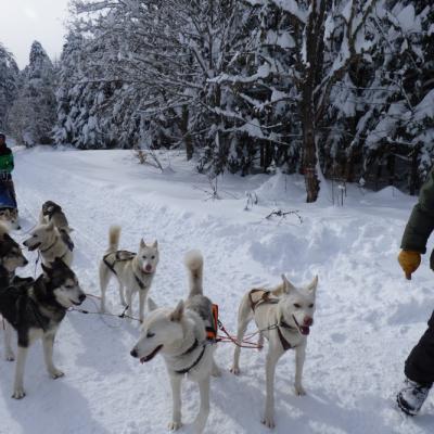 Vercors Quest Dom T-28