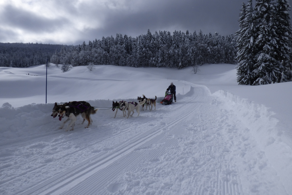 Vercors Quest Dom T-9