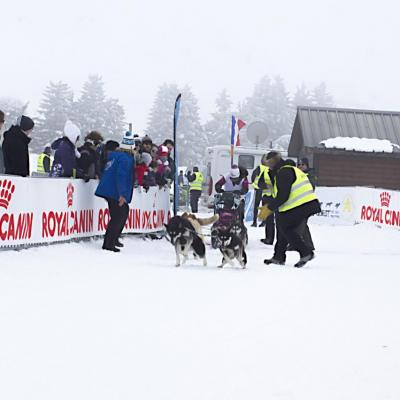 Vercors Quest ET-11