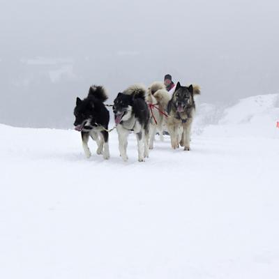 Vercors Quest ET-4