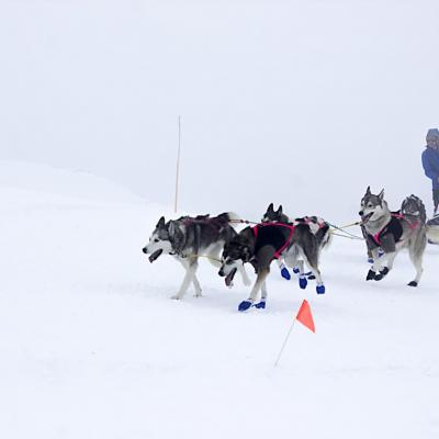 Vercors Quest ET-6