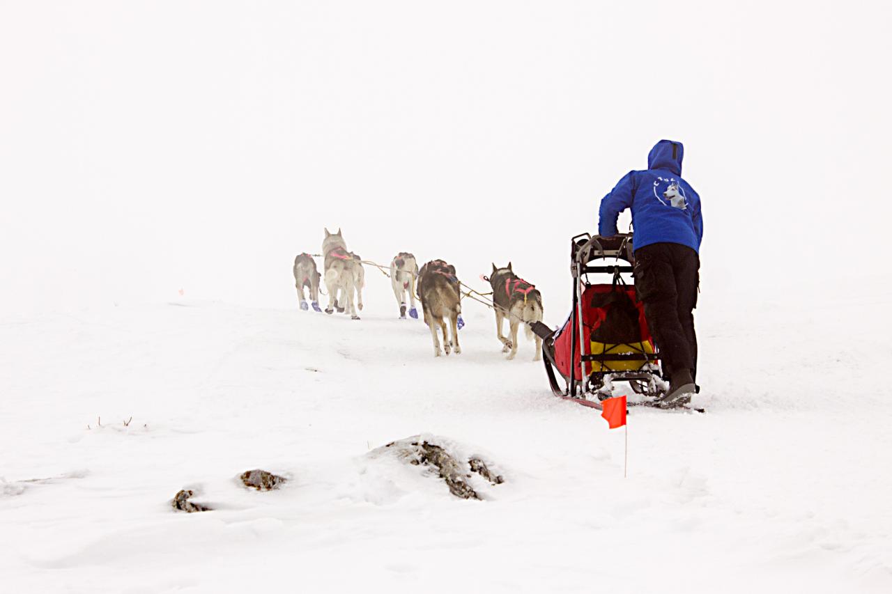 Vercors Quest ET-8