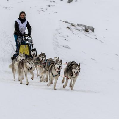 Vercors Quest 2016 GC-9