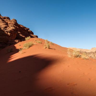 Wadi Rum 2