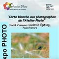 Carte blanche ludo epting expo avril 2026 v5 1 
