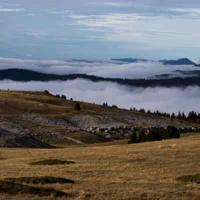 Vercors